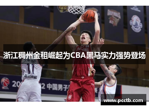 浙江稠州金租崛起为CBA黑马实力强势登场