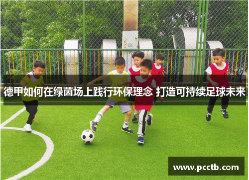 德甲如何在绿茵场上践行环保理念 打造可持续足球未来